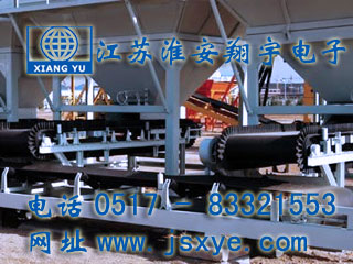 定量給料機(jī),定量給料機(jī)廠家,皮帶秤給料機(jī),皮帶秤定量給料機(jī),XYBW