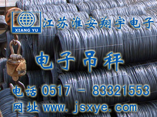 中富國(guó)際電子吊秤無(wú)線式 - 電子吊秤廠家江蘇淮安翔宇電子吊秤案