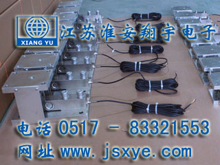 廣東中和稱(chēng)重模塊傳感器 - 稱(chēng)重傳感器廠家江蘇淮安翔宇電子傳感器