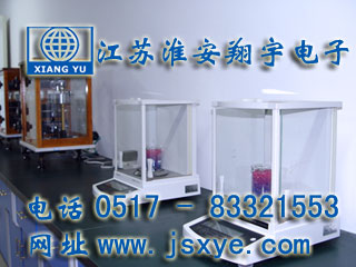江蘇共創(chuàng)訂購(gòu)江蘇淮安翔宇電子秤 電子臺(tái)秤 高精度電子天平